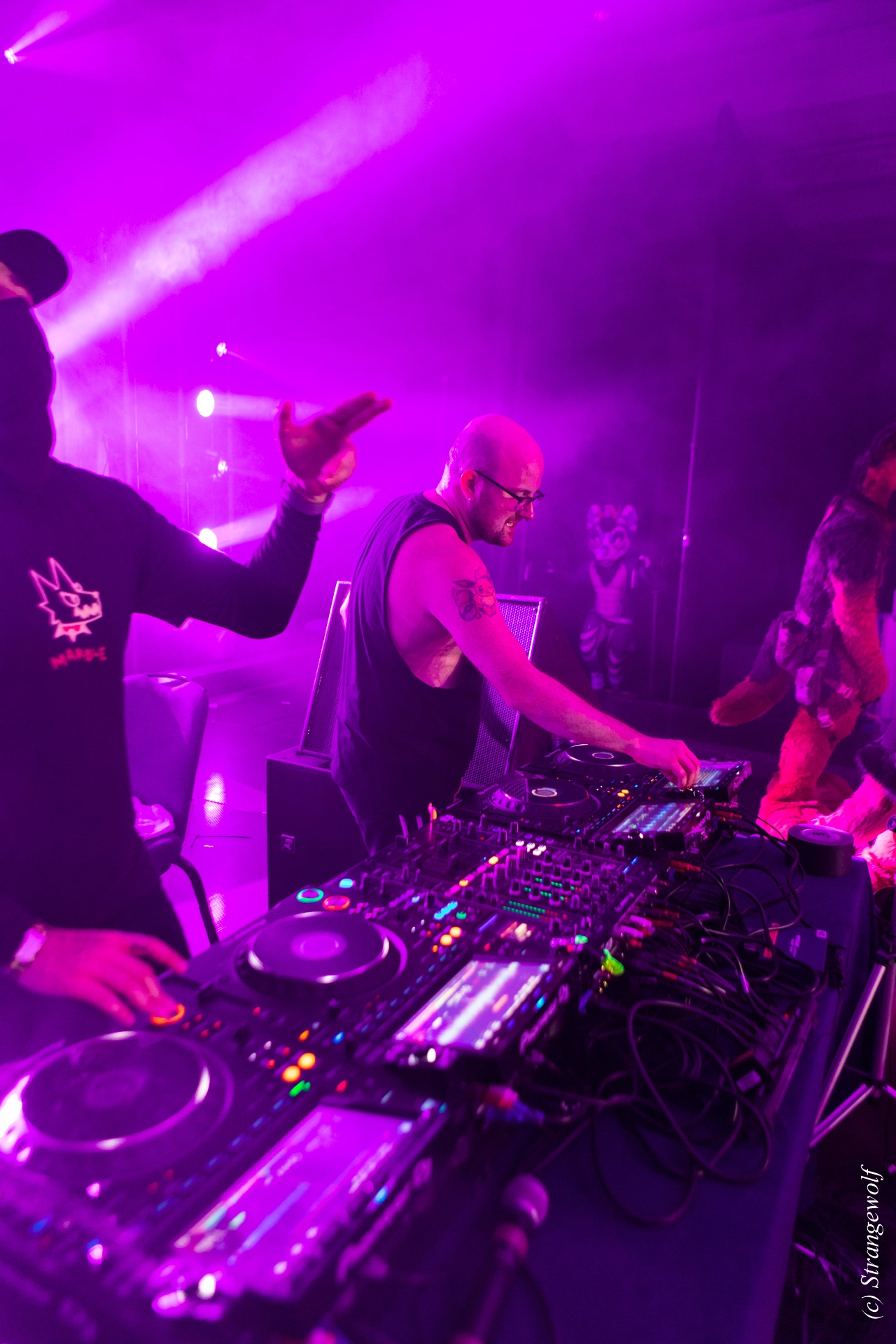 full image 1R3A7067-lr19t.jpg