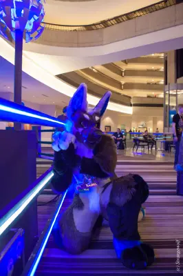 IMG_1330-lr19t.jpg of FWA/FWA2018/