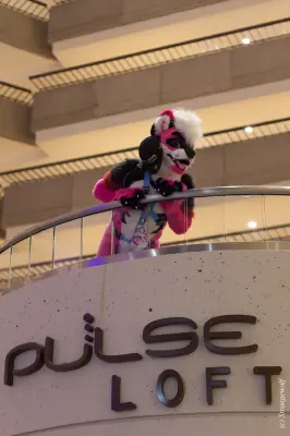 IMG_1376-lr19t.jpg of FWA/FWA2018/