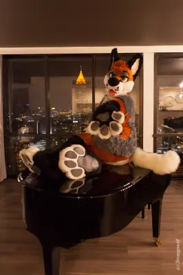 IMG_2233-lr19t.jpg of FWA/FWA2018/