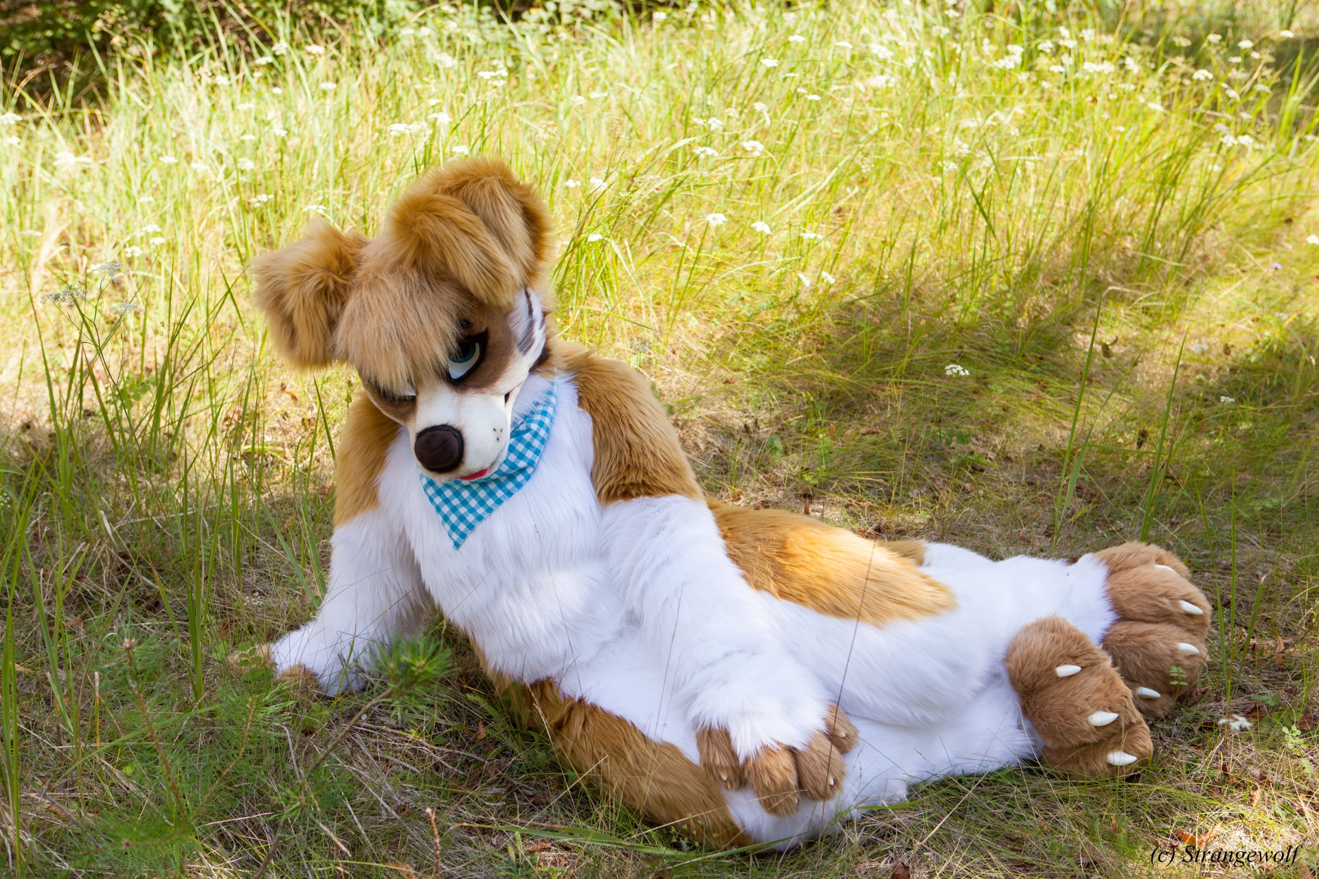 full image IMG_6269-lr19t.jpg