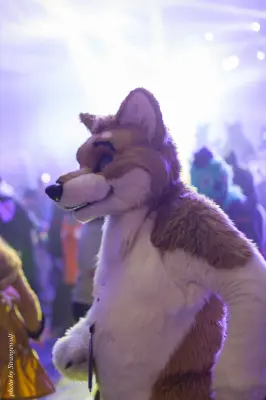 IMG_1352-lr16t.jpg of FC/FC2017/