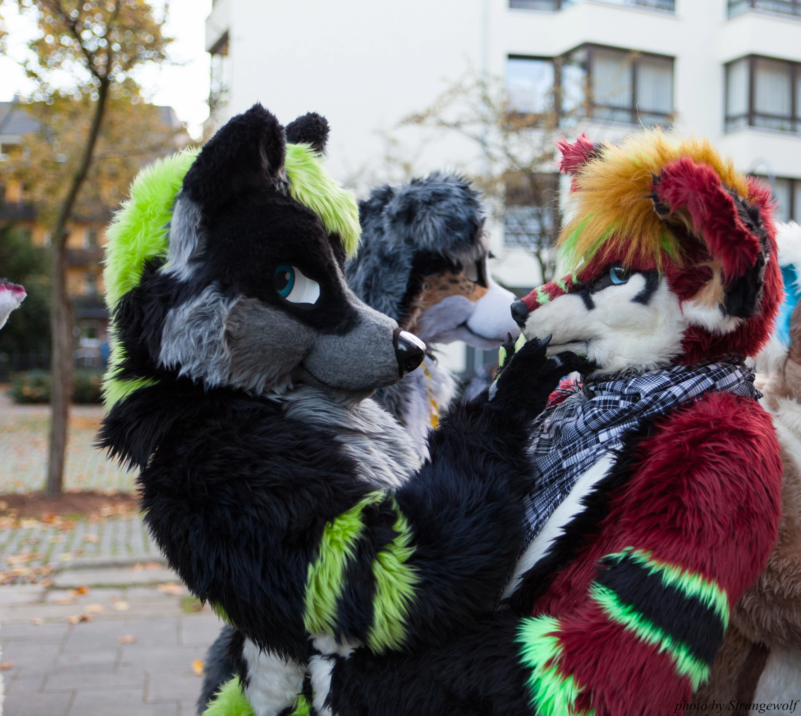 full image IMG_5318-lr16t.jpg