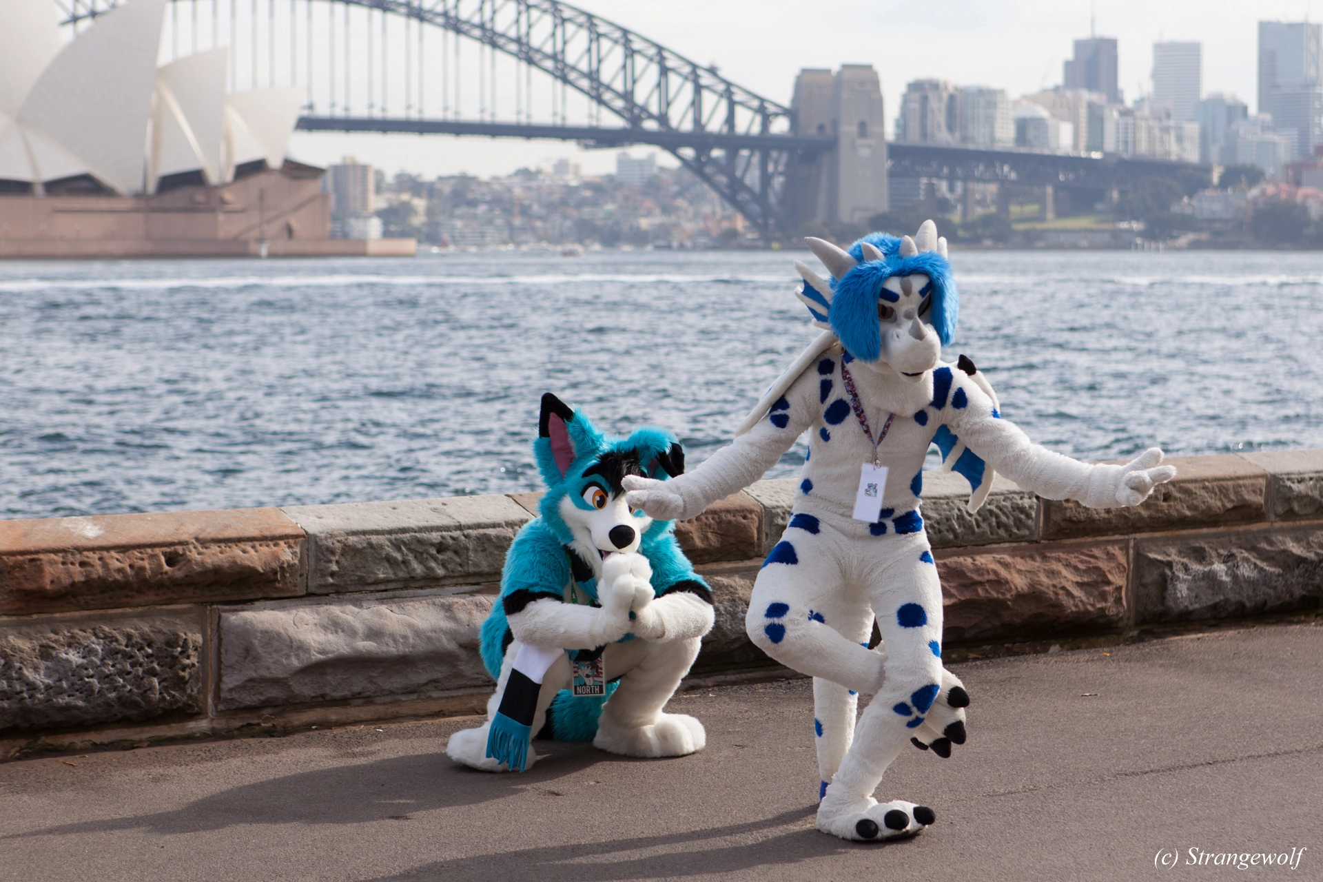 full image IMG_4338-lr19t.jpg