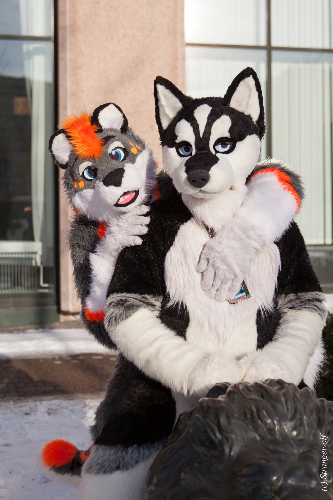 full image IMG_0120-lr19t.jpg