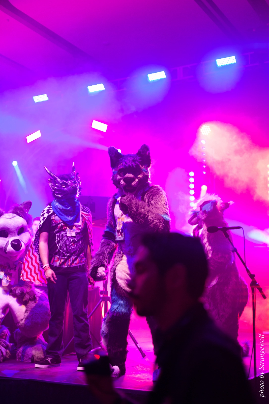 full image IMG_1217-lr16t.jpg