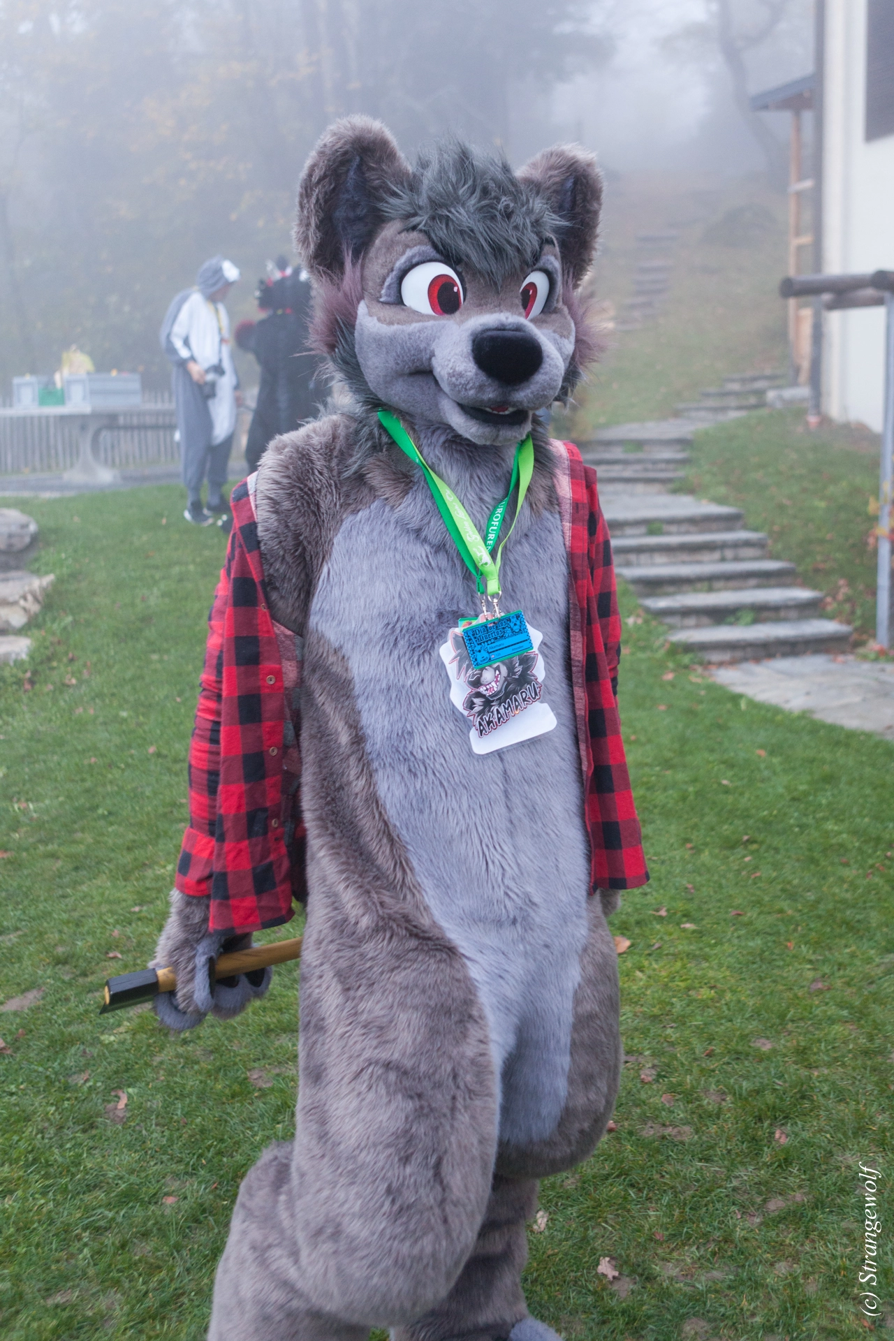 full image IMG_7055-lr19t.jpg