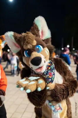 1R3A9501-lr19t.jpg of EF/EF29/