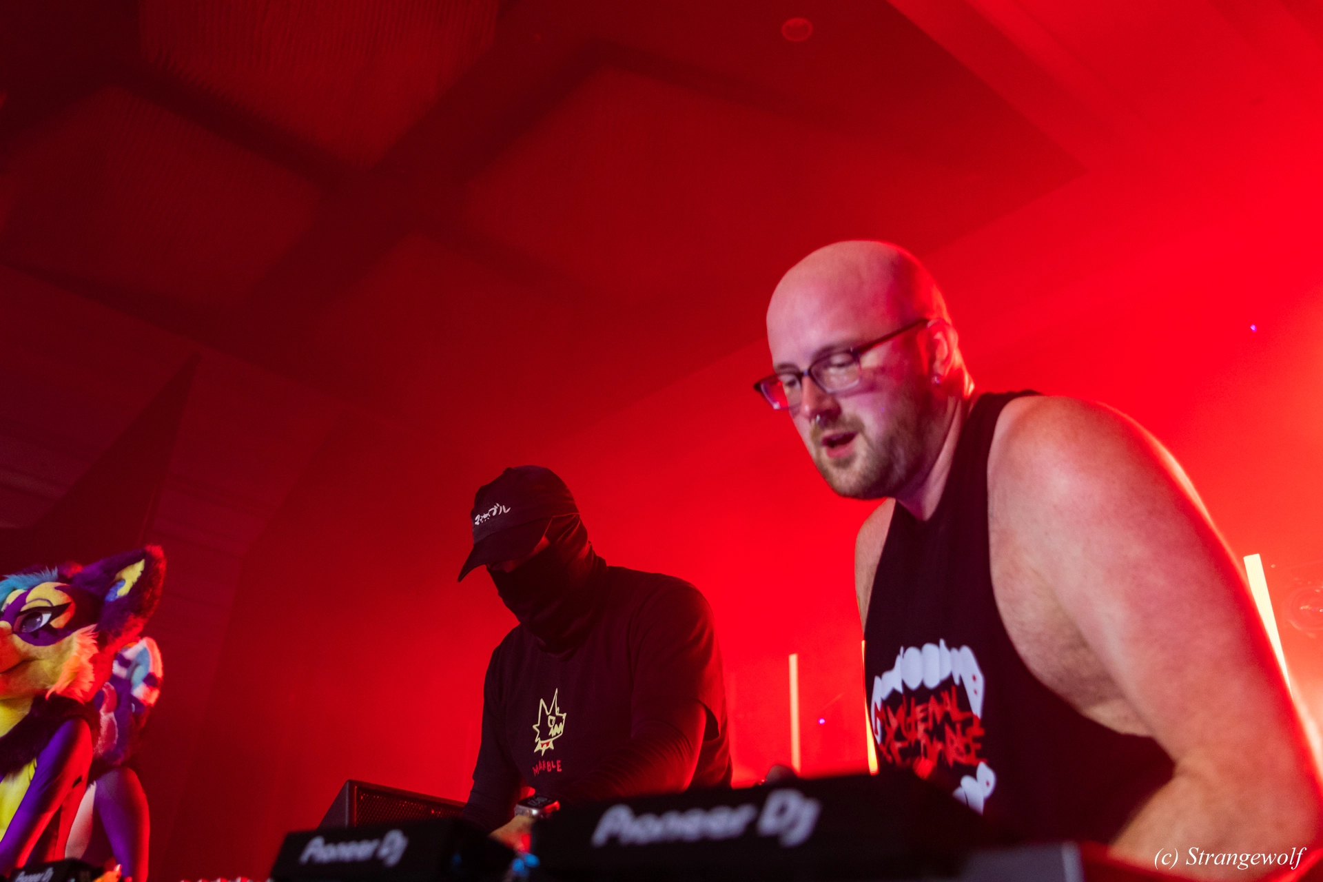 full image 1R3A6564-lr19t.jpg