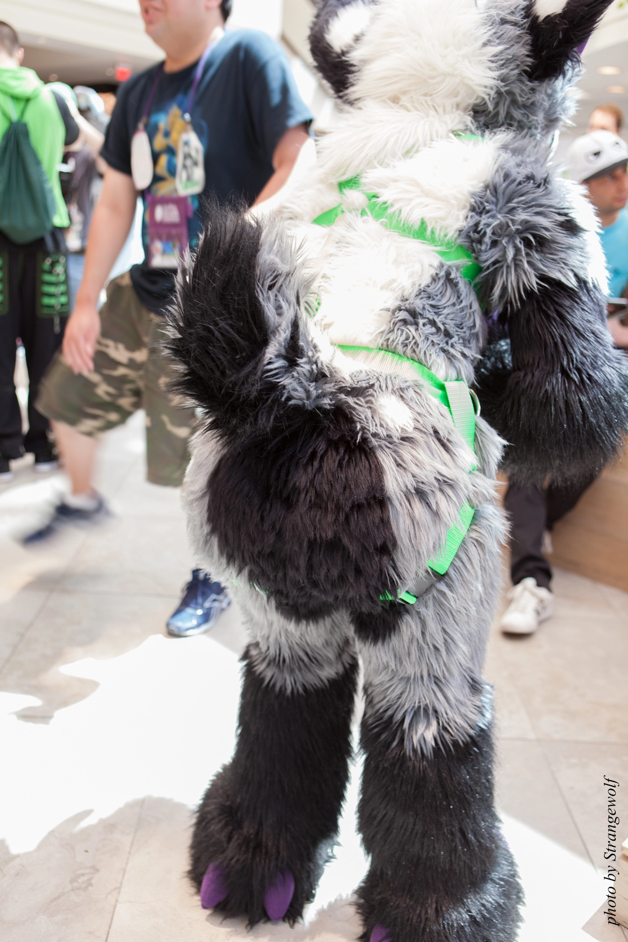 full image IMG_4786-lr19t.jpg
