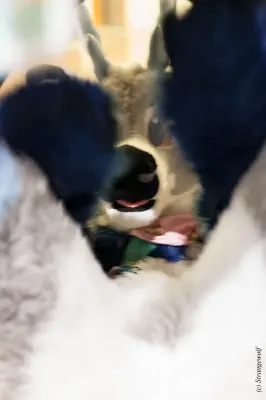 IMG_9223-lr19t.jpg of NFC/NFC2019/