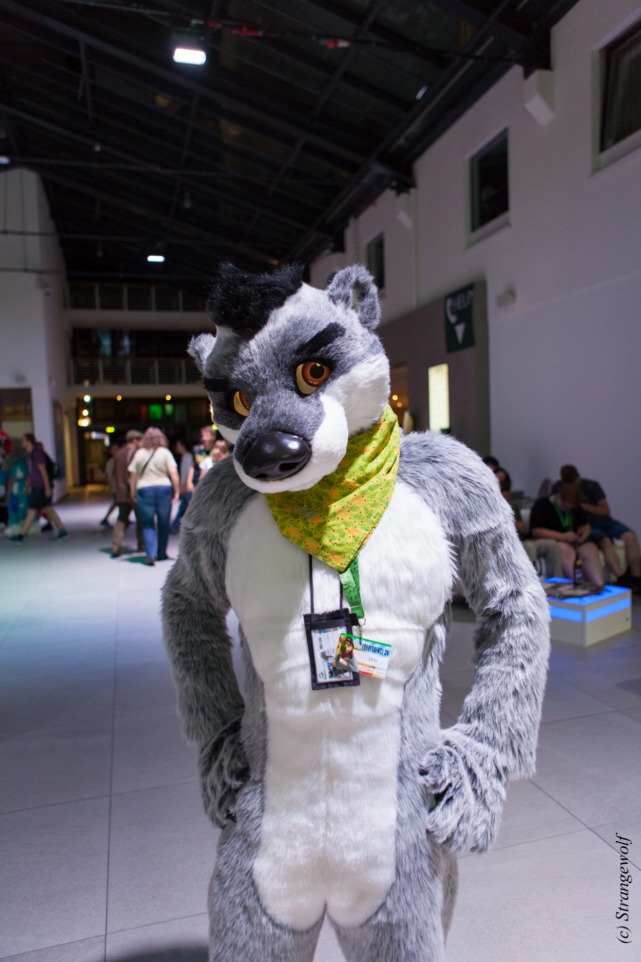 full image IMG_4897-lr19t.jpg