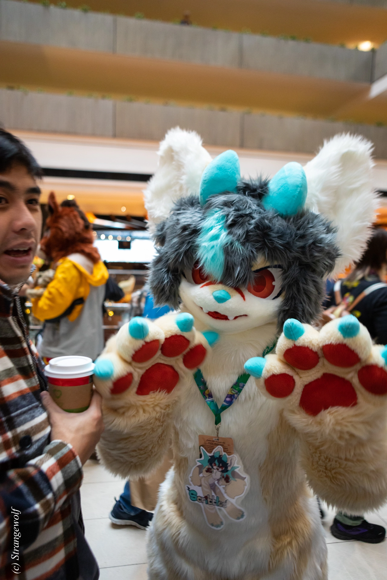 full image 1R3A0178-lr19t.jpg