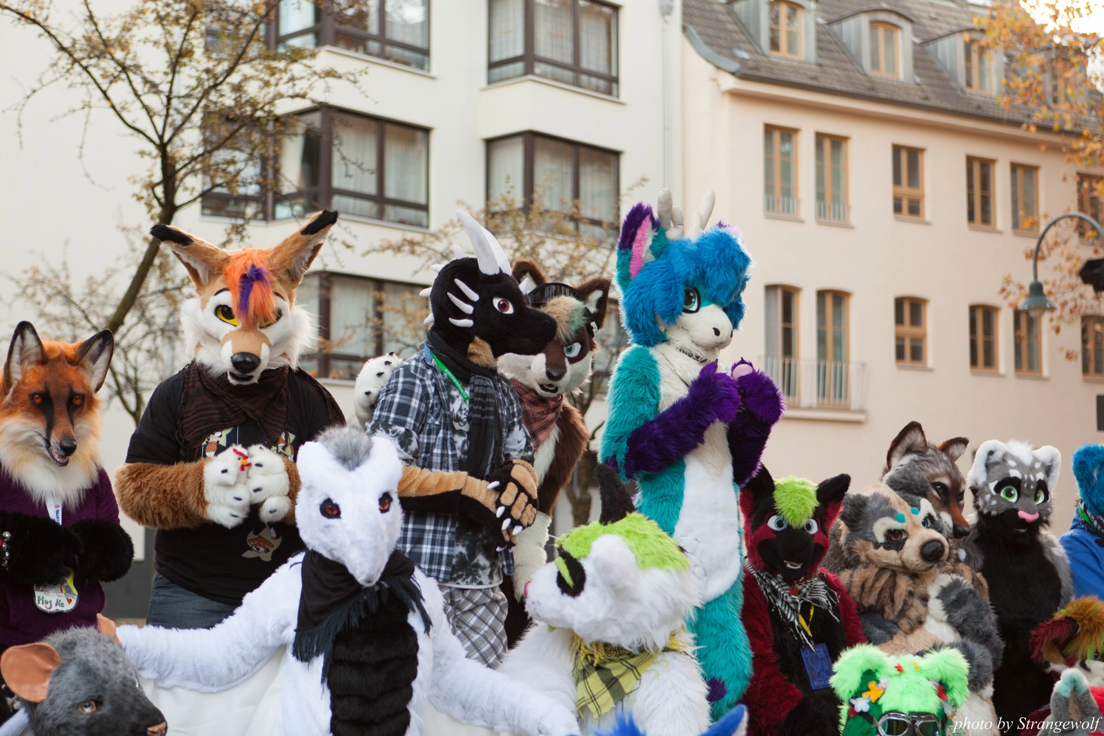 full image IMG_5299-lr16t.jpg