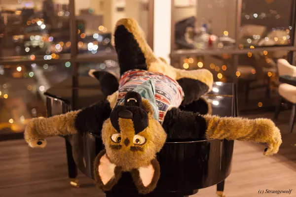 IMG_2315-lr19t.jpg of FWA/FWA2018/