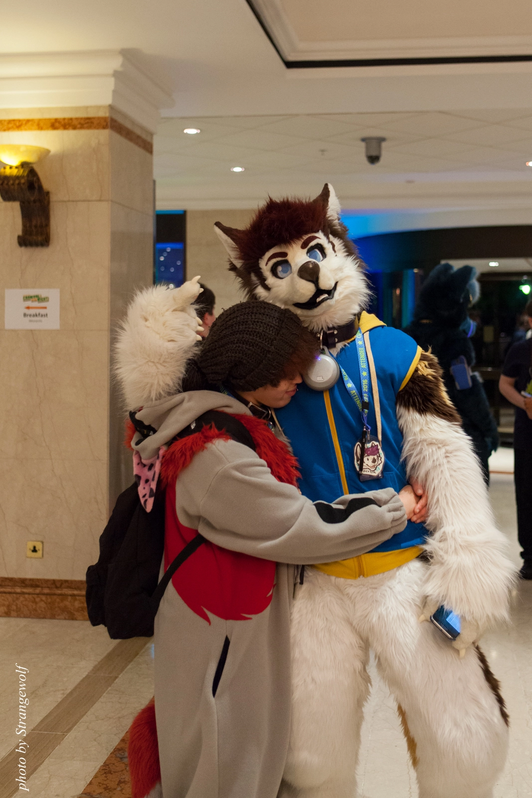 full image IMG_7577-lr16t.jpg