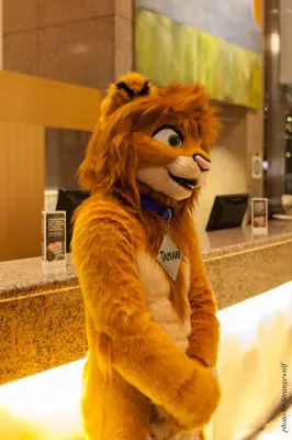 IMG_1741-lr16t.jpg of NFC/NFC2017/