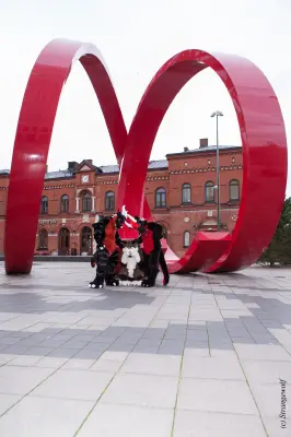 IMG_8986-lr19t.jpg of NFC/NFC2020/