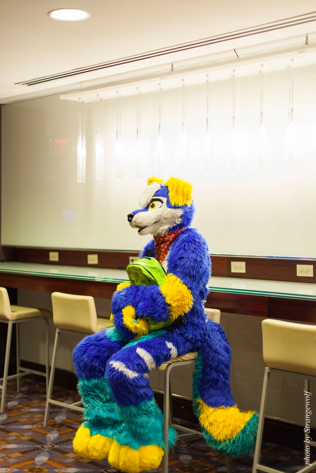 full image IMG_0898-lr16t.jpg