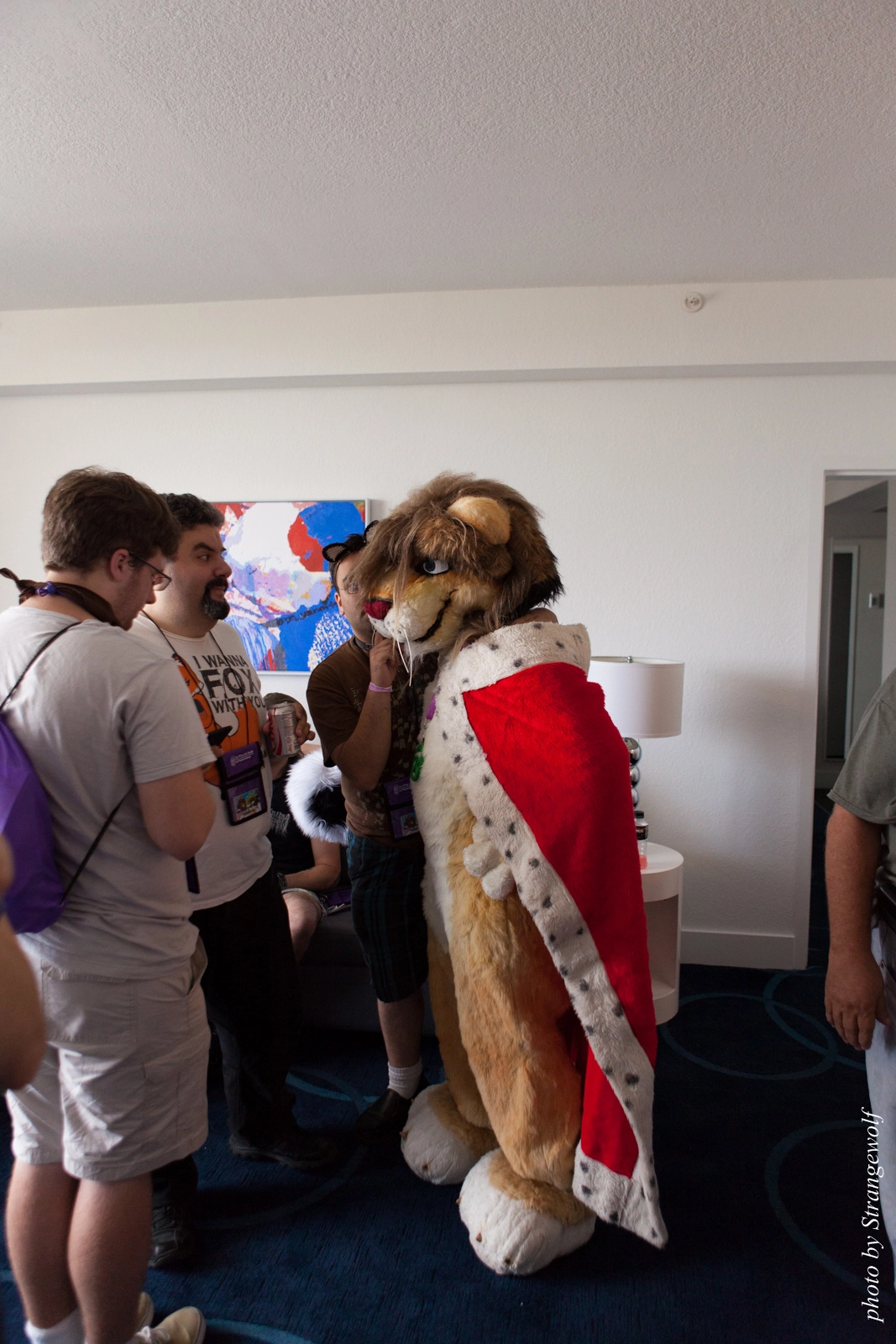 full image IMG_8233-lr16t.jpg