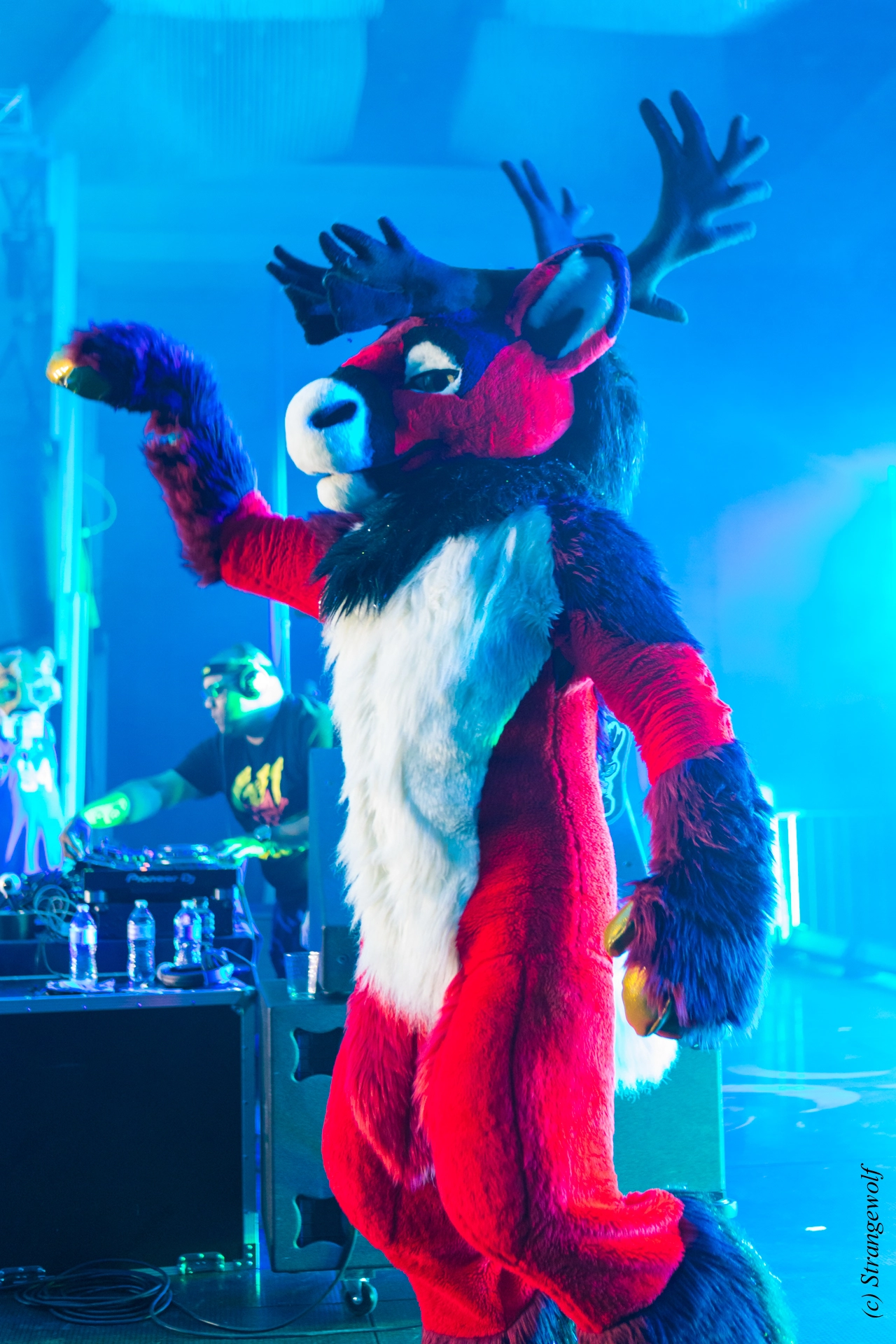 full image 1R3A5118-lr19t.jpg