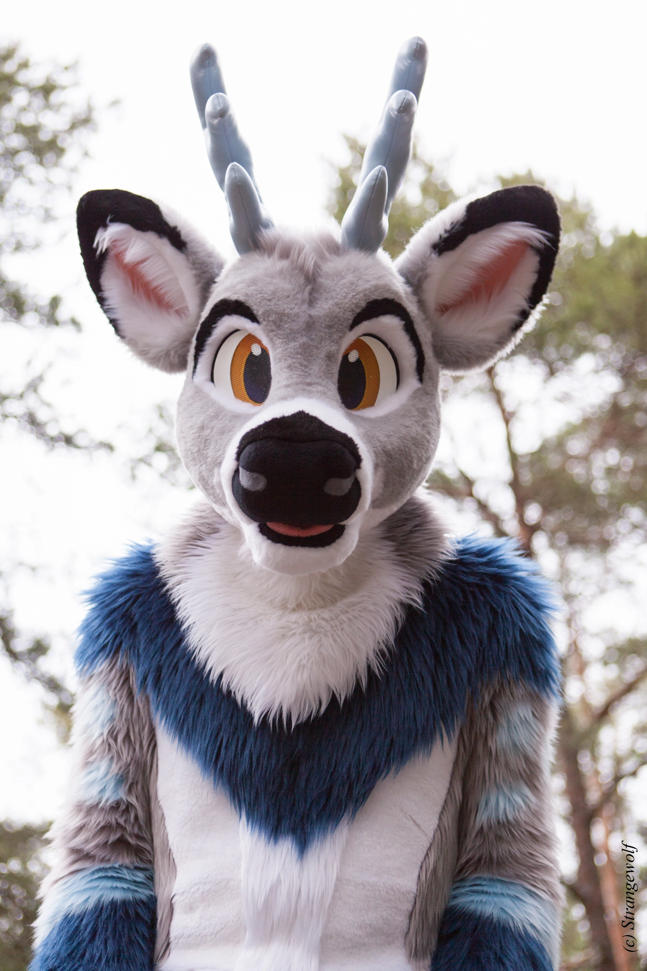 full image IMG_8608-lr19t.jpg