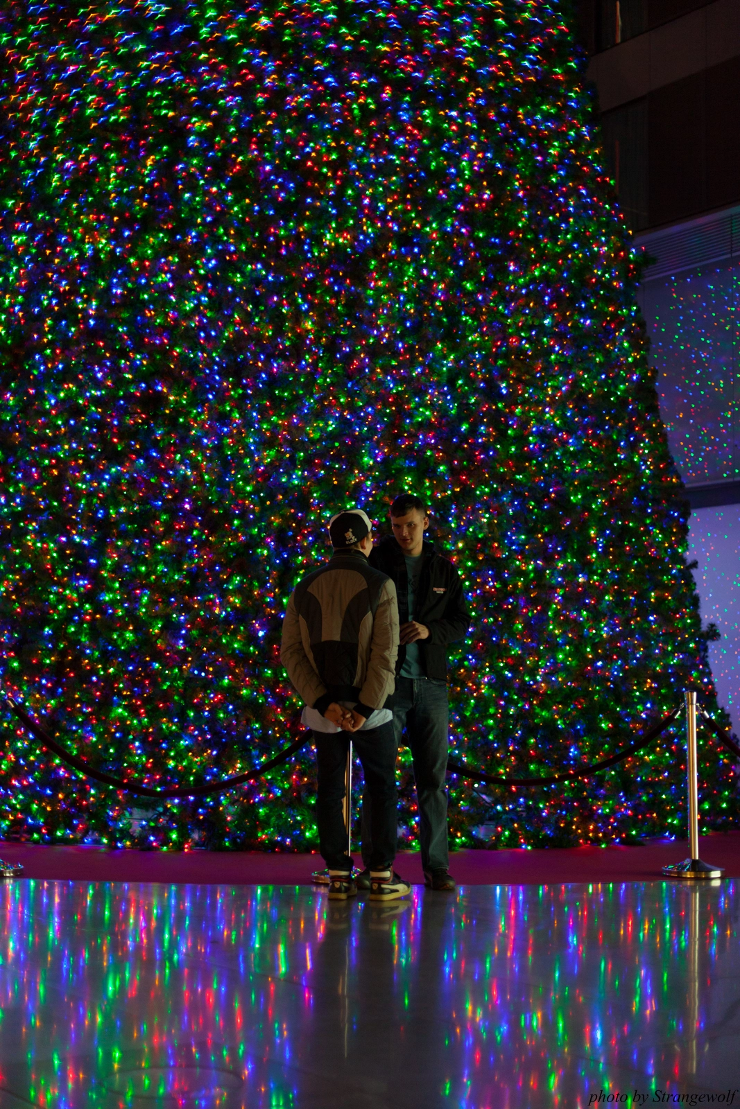 full image IMG_5832-lr16t.jpg