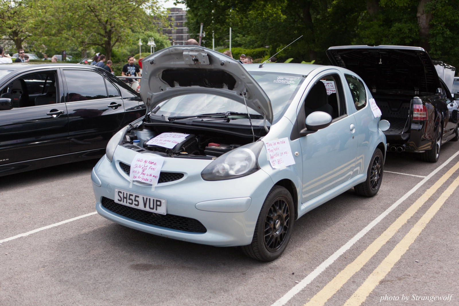 full image IMG_7187-lr16t.jpg