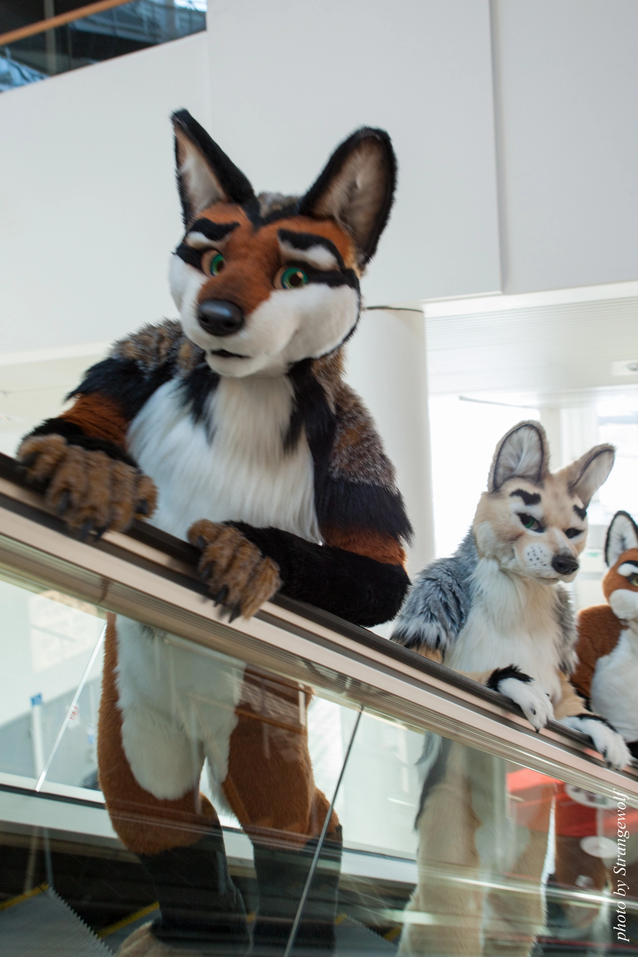 full image IMG_0402-lr19t.jpg