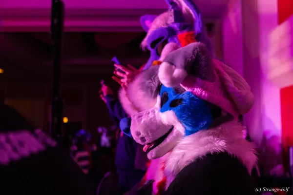 1R3A4987-lr19t.jpg of MFF/MFF2024/