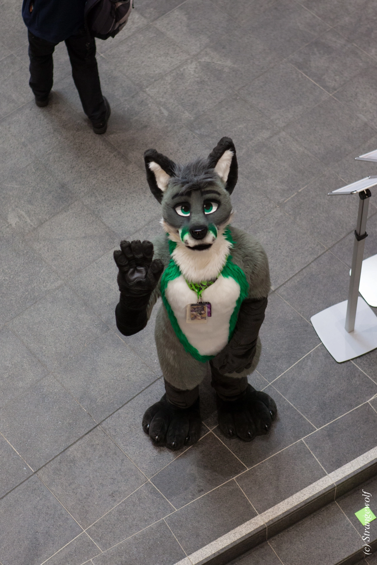 full image IMG_8277-lr19t.jpg