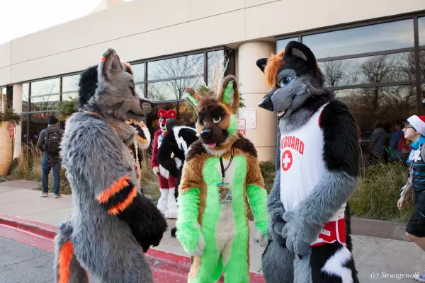 IMG_8196-lr19t.jpg of MFF/MFF2017/