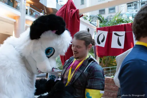 IMG_2091-lr16t.jpg of NFC/NFC2017/