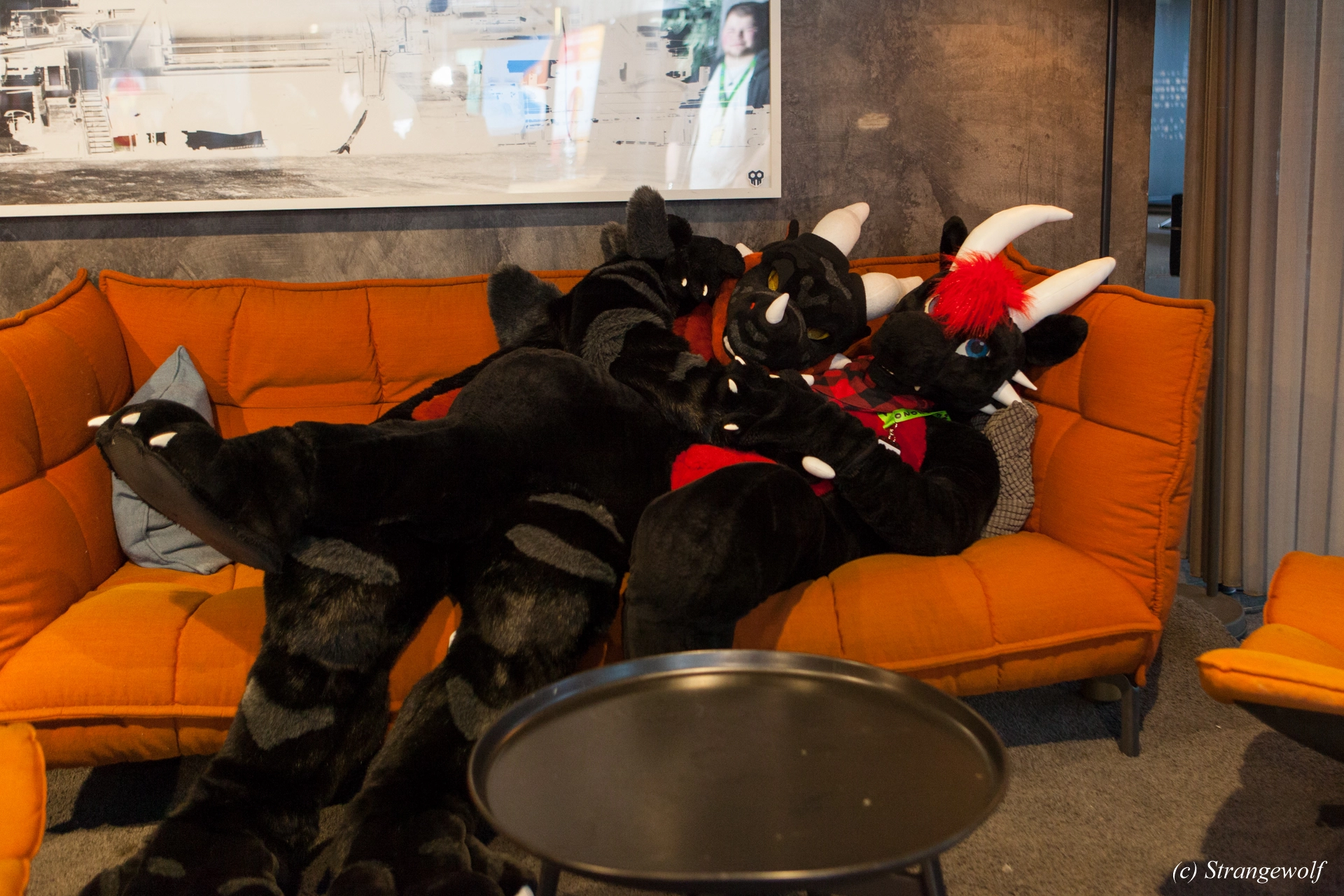 full image IMG_8941-lr19t.jpg