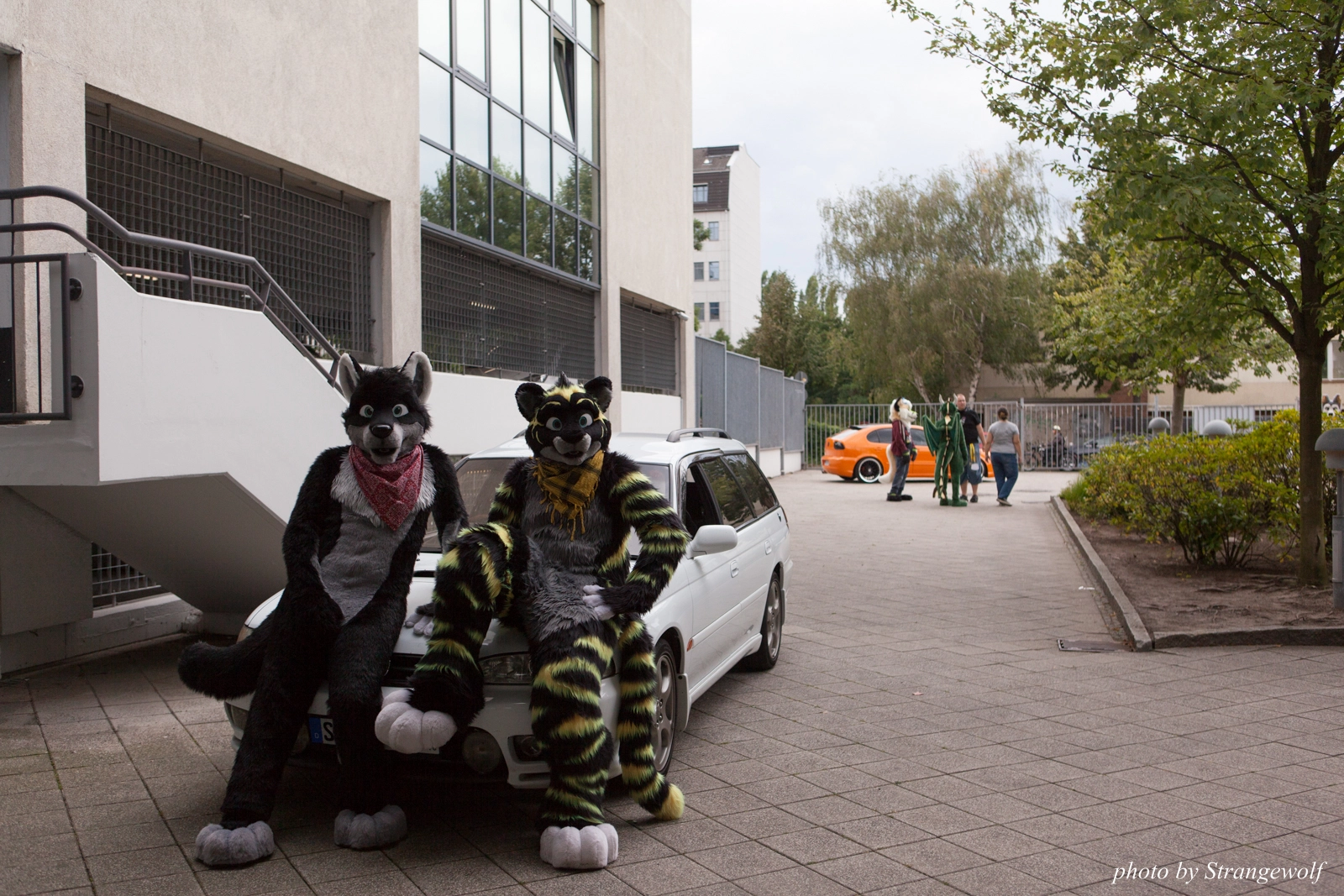 full image IMG_0125-lr16t.jpg