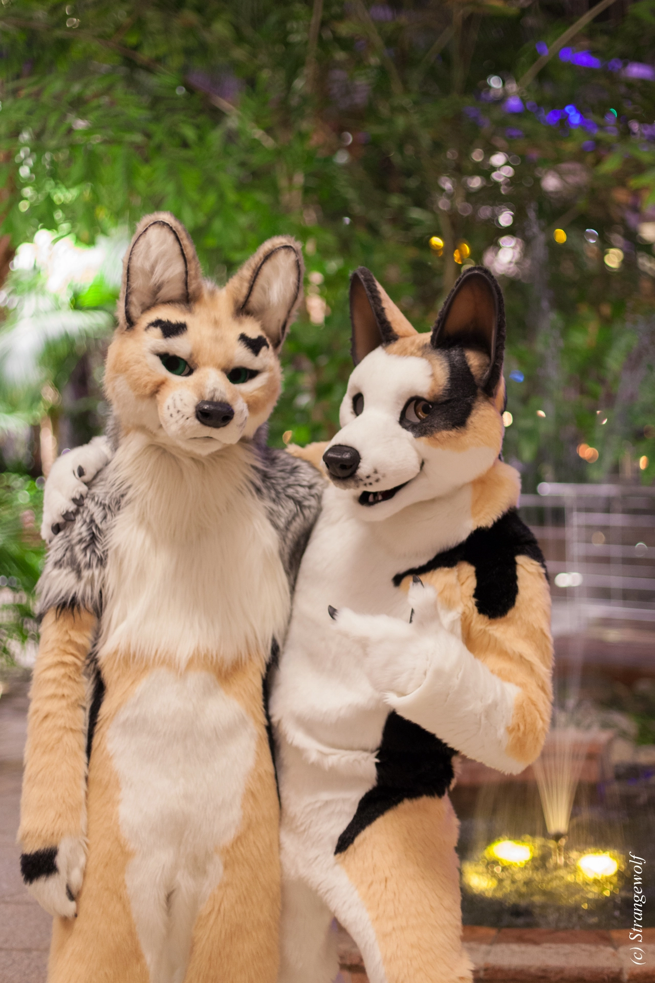 full image IMG_8958-lr19t.jpg