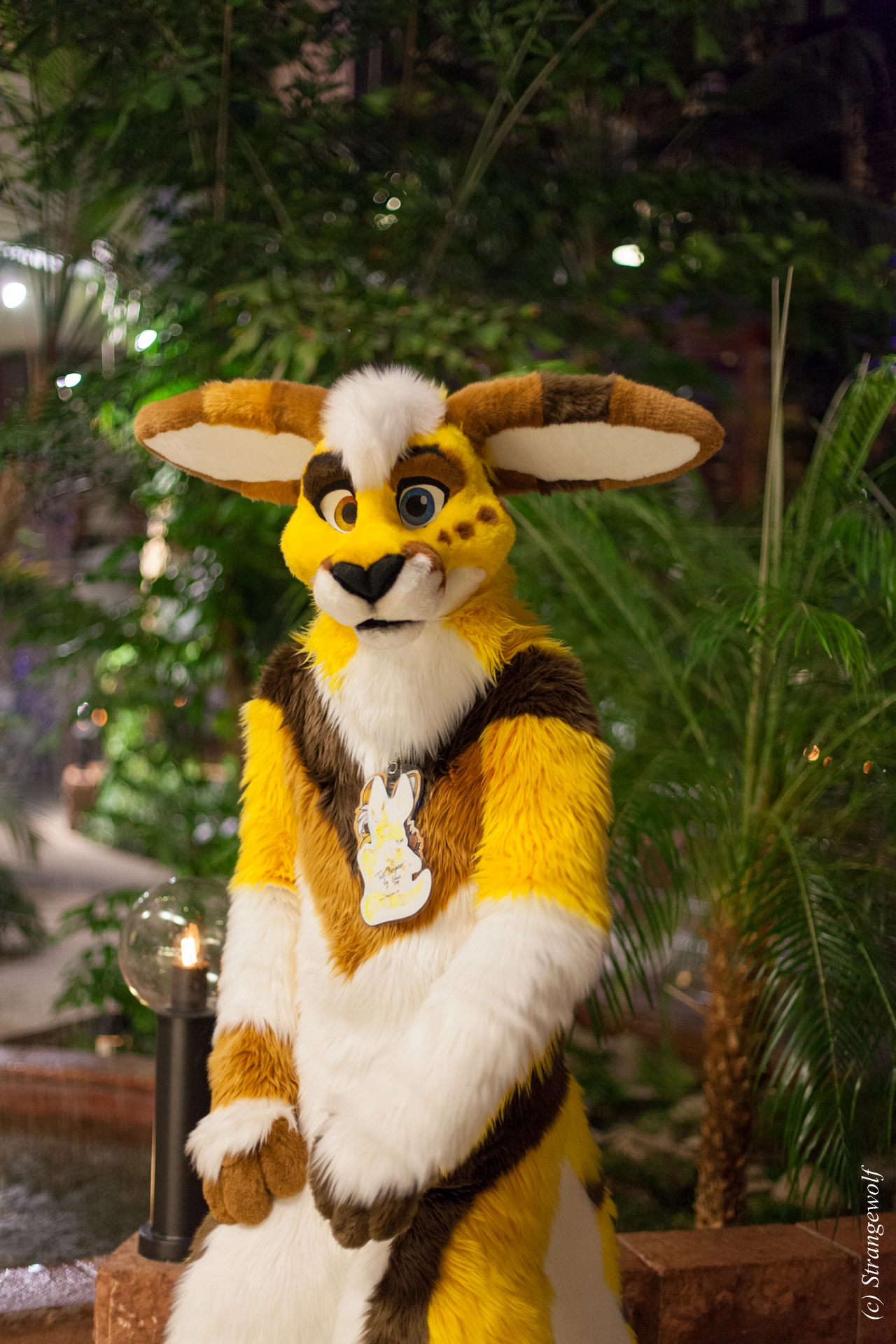 full image IMG_0917-lr19t.jpg