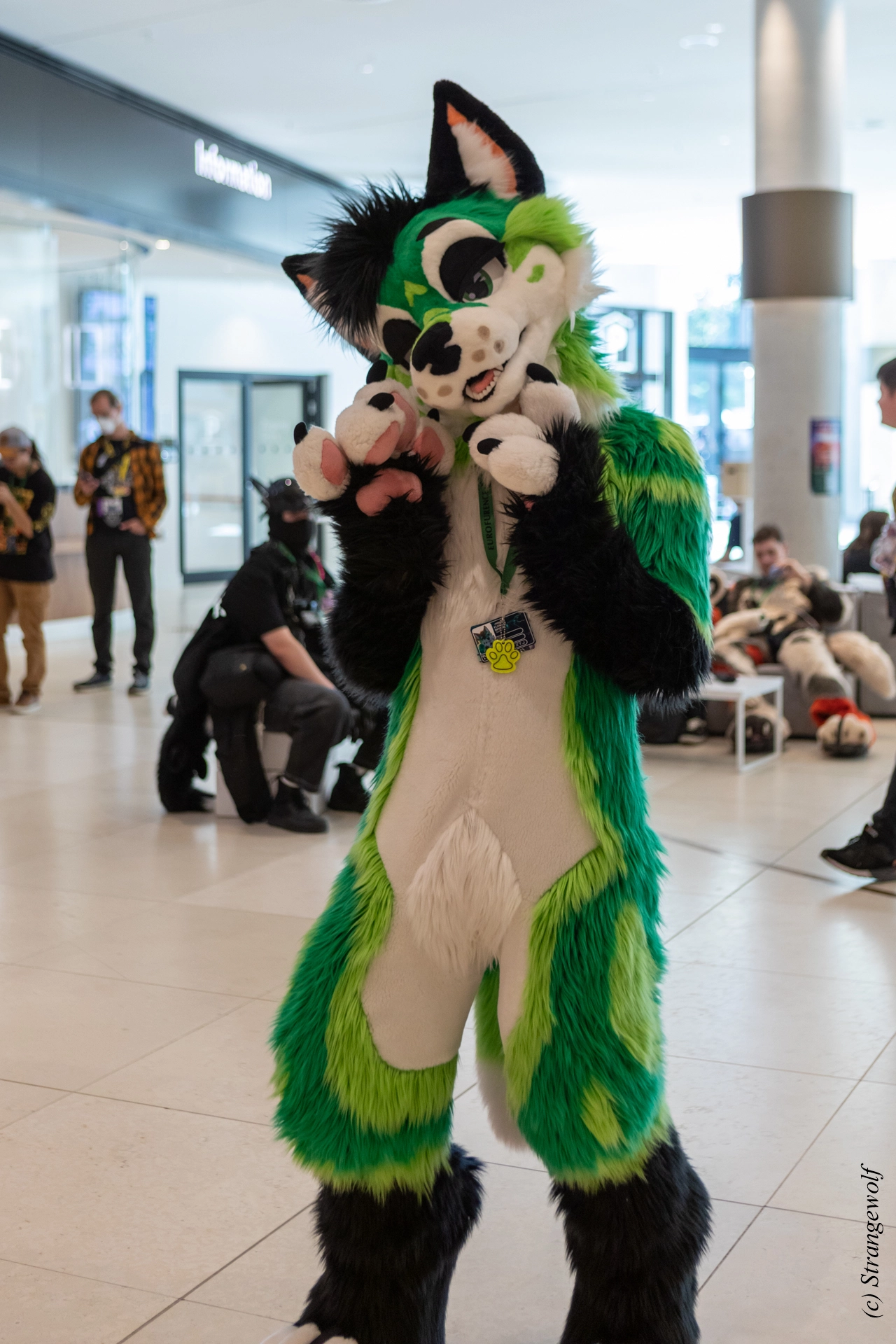 full image 1R3A9241-lr19t.jpg