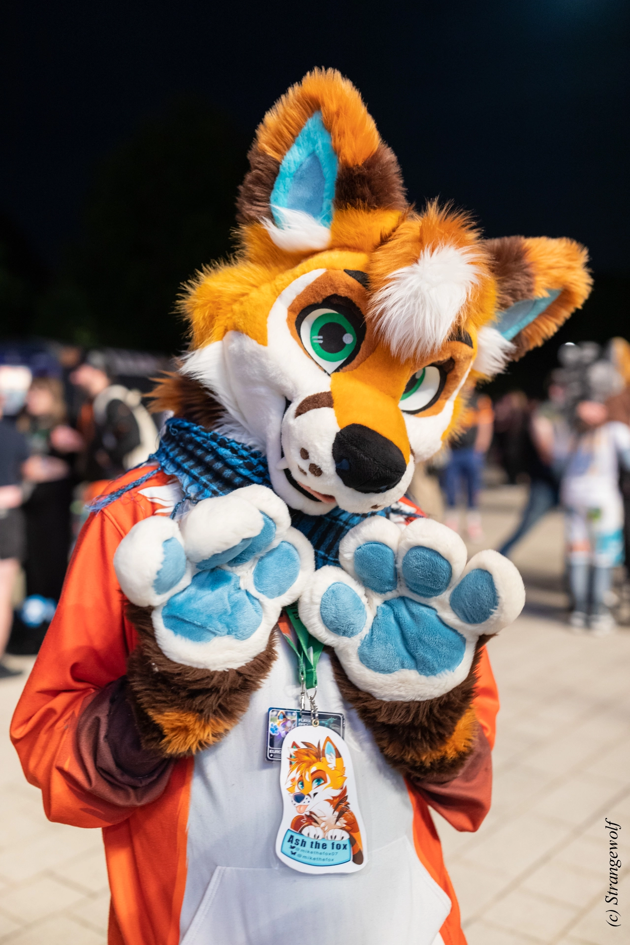 full image 1R3A9502-lr19t.jpg