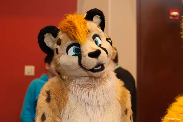 IMG_7476-lr.jpg of MFF/MFF2018/