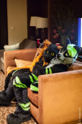 IMG_6611-lr19t.jpg of MFF/MFF2015/