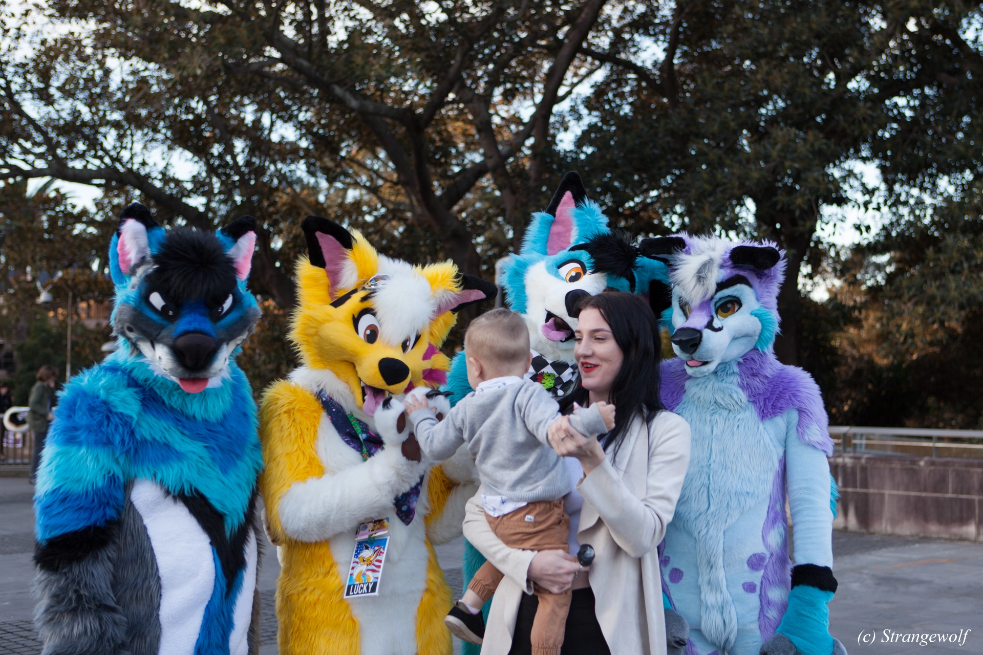 full image IMG_4646-lr19t.jpg