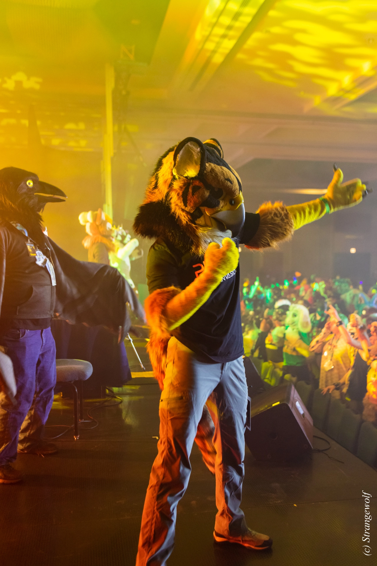 full image 1R3A4844-lr19t.jpg