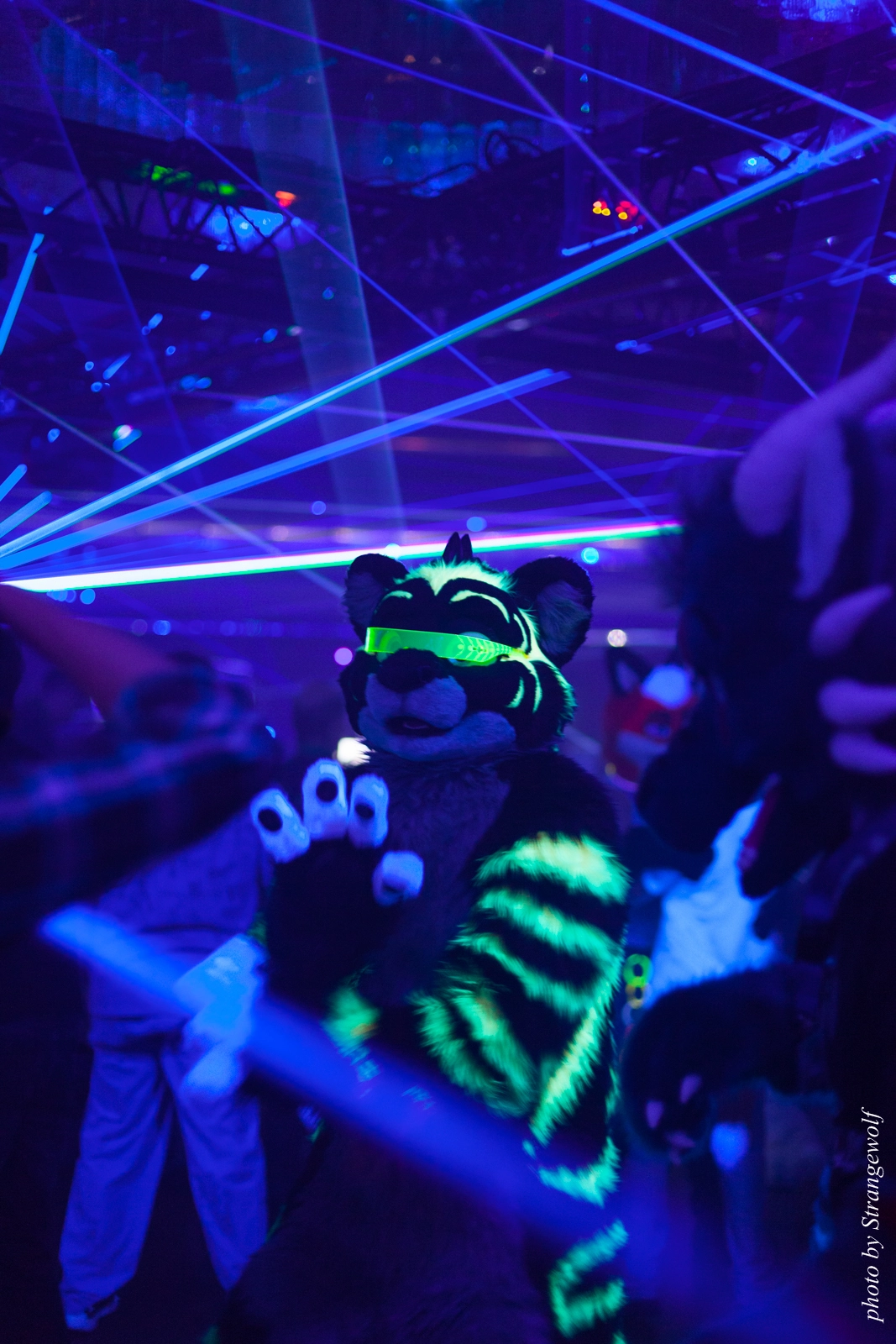 full image IMG_8780-lr16t.jpg