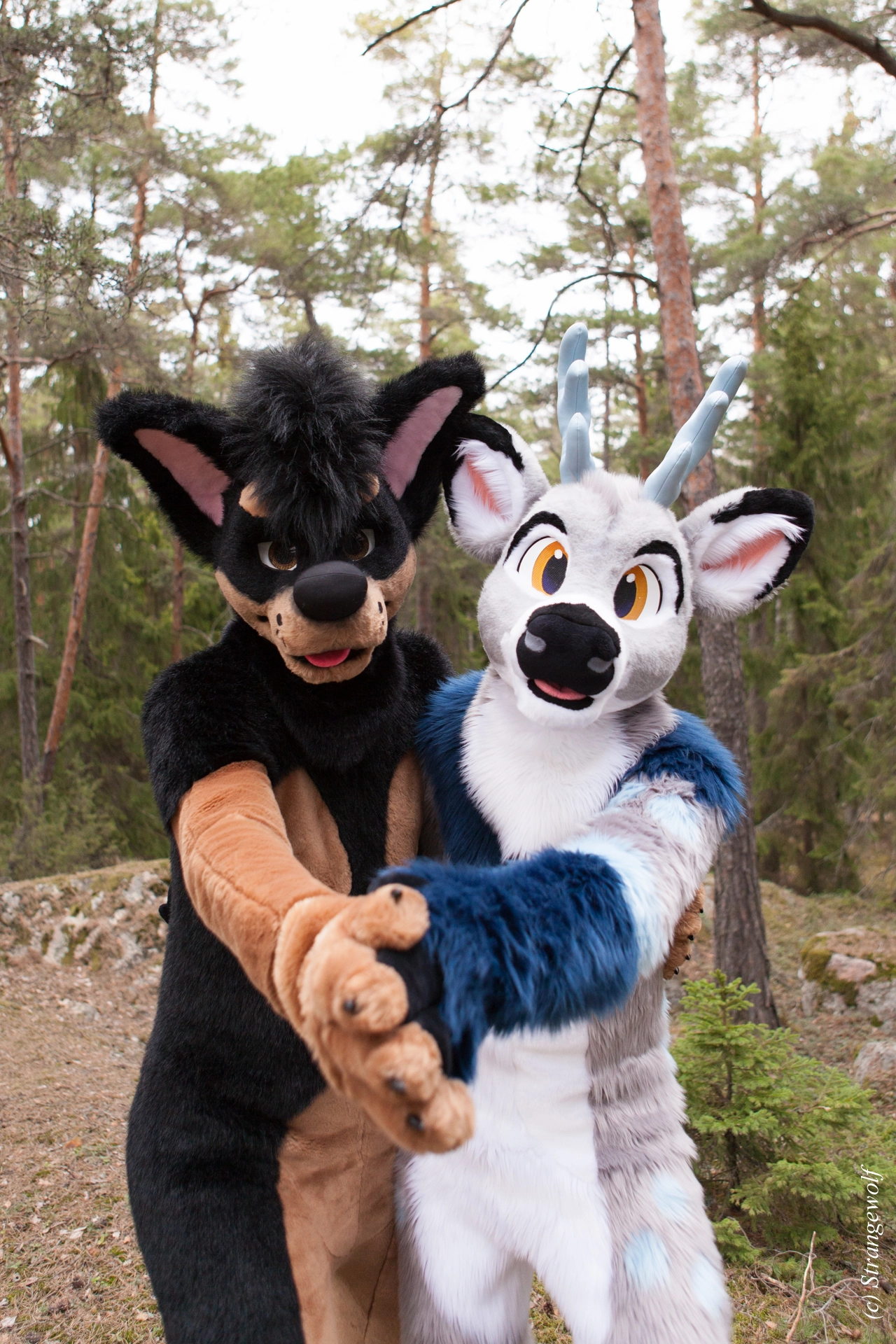 full image IMG_8567-lr19t.jpg