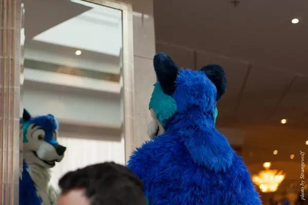 IMG_7135-lr16t.jpg of CFZ/CFZ2016/