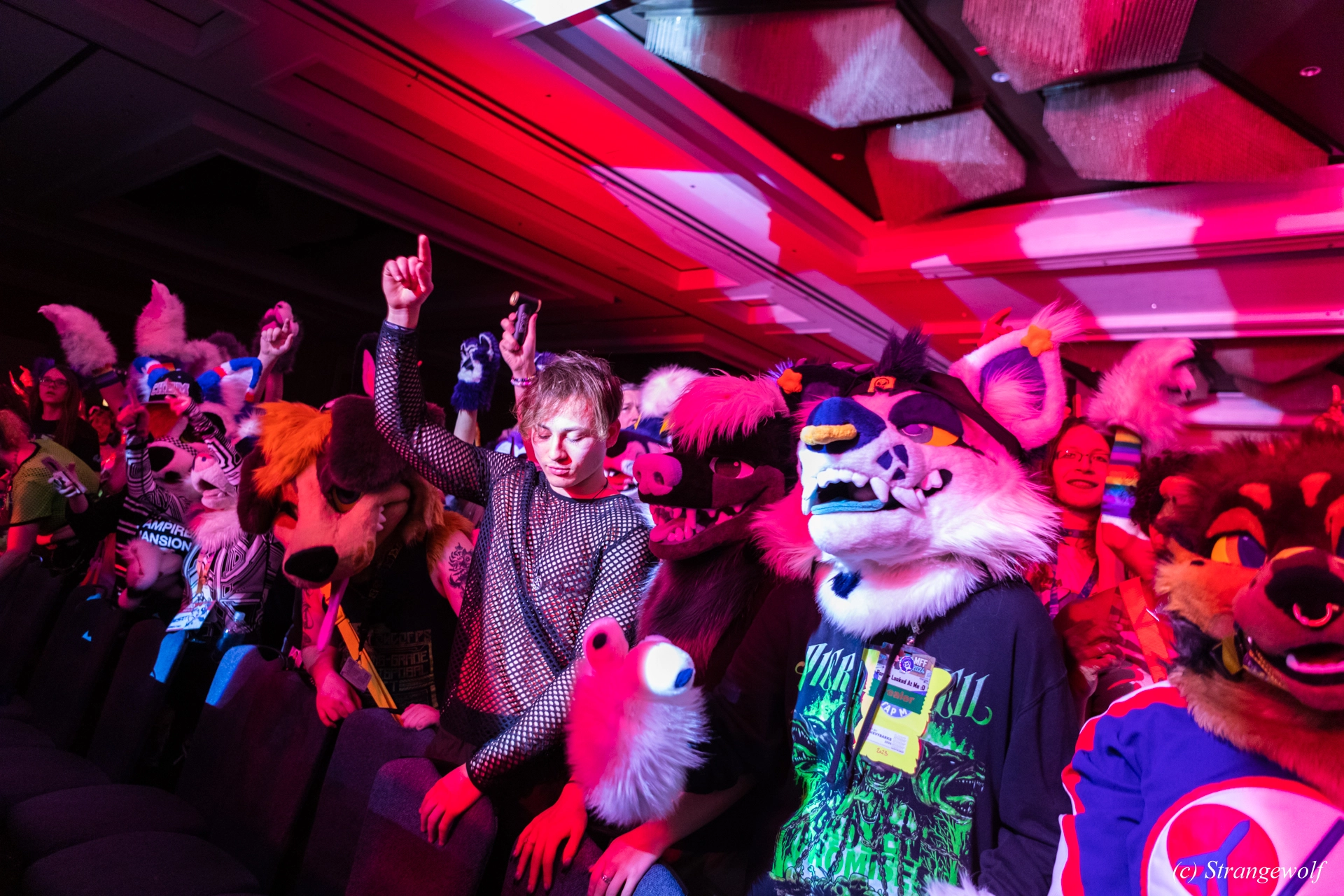 full image 1R3A6619-lr19t.jpg