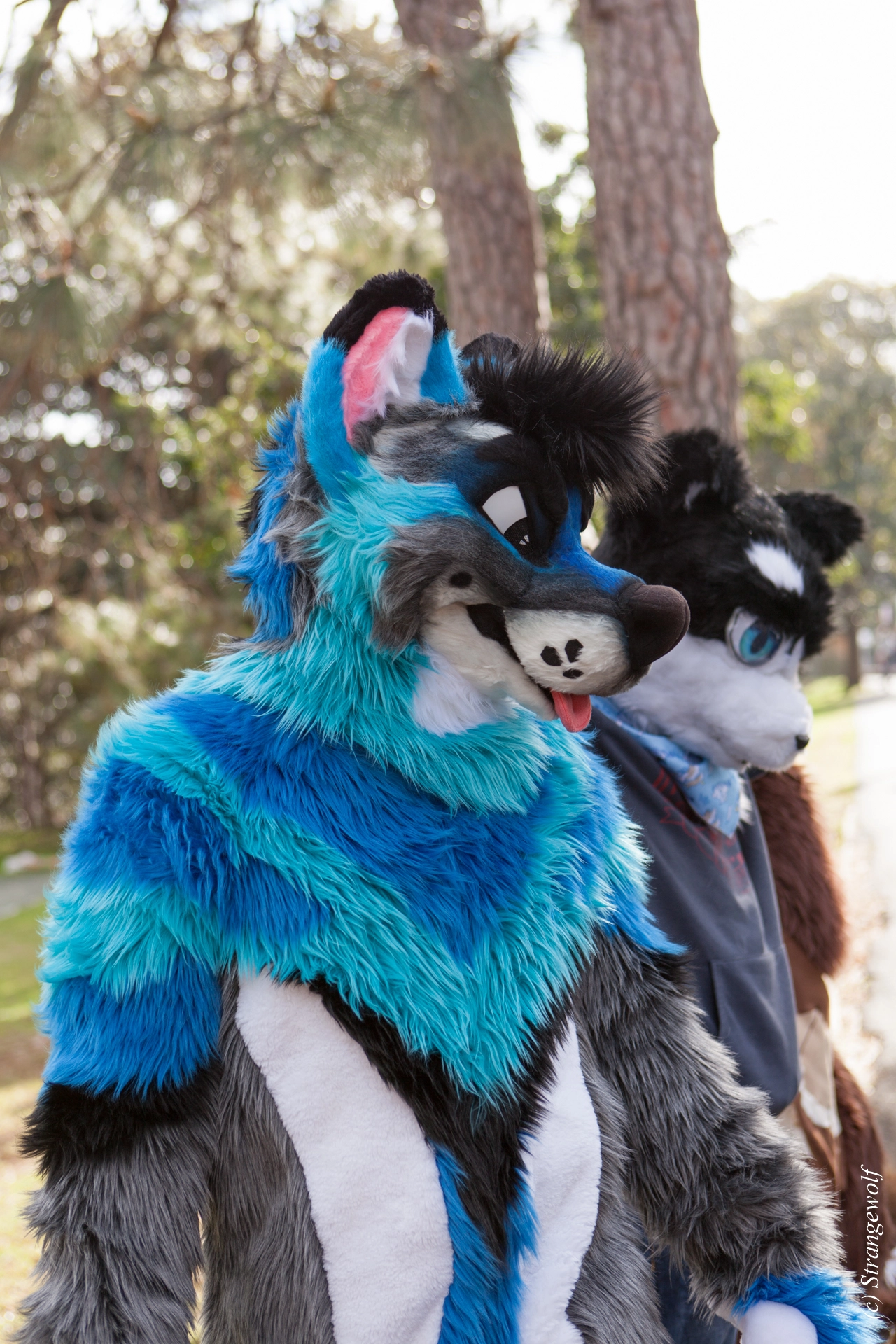 full image IMG_4234-lr19t.jpg