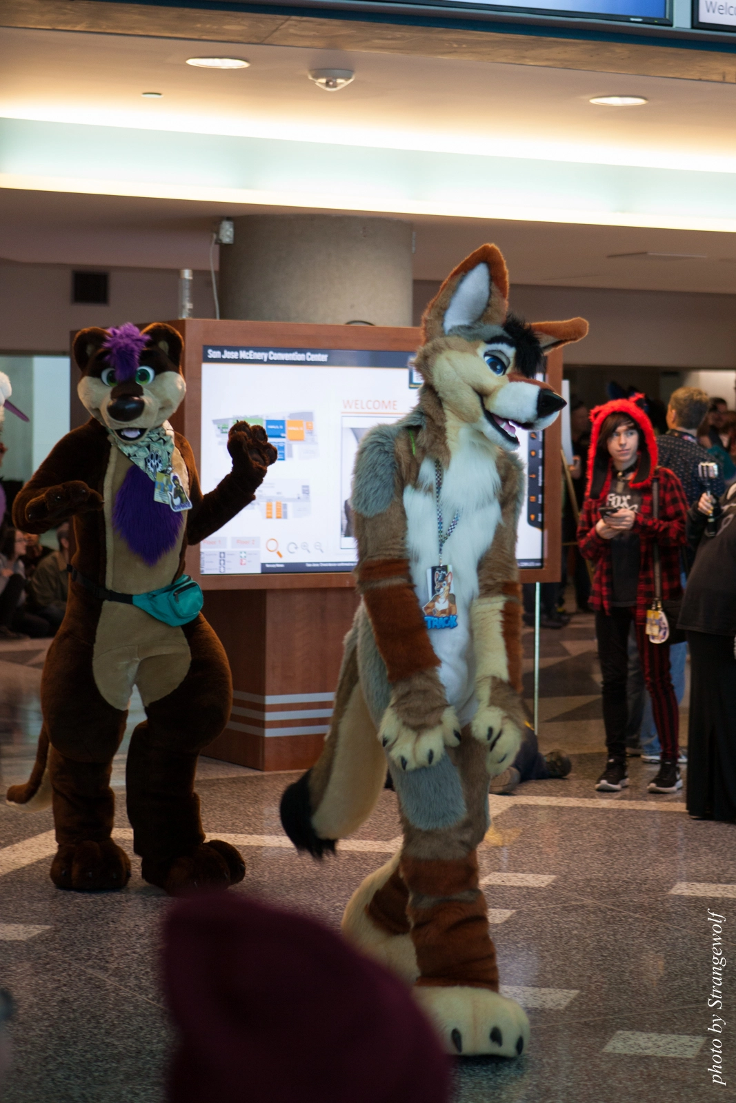 full image IMG_1061-lr16t.jpg