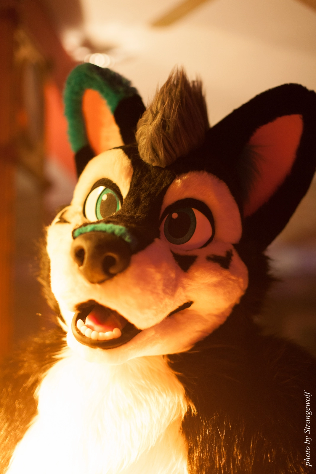 full image IMG_5429-lr16t.jpg